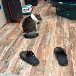 Meet your Posher, Scotty